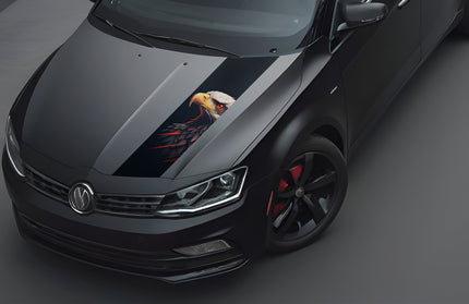 eagle-bonnet-wrap-for-cars
