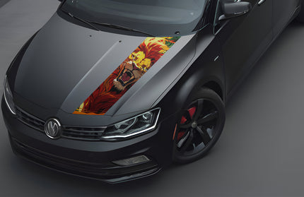 king-bonnet-wrap-for-cars
