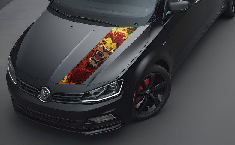 king-bonnet-wrap-for-cars