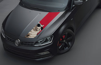 maverick-bonnet-wrap-for-cars