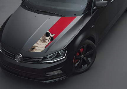 maverick-bonnet-wrap-for-cars