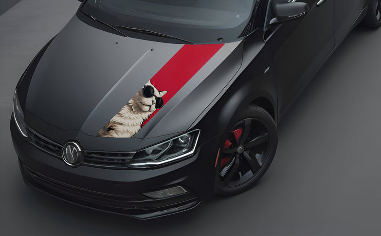 maverick-bonnet-wrap-for-cars