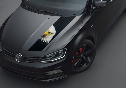 road-raptor-bonnet-wrap-for-cars