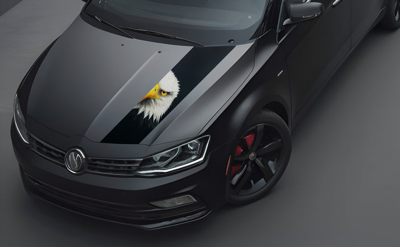 road-raptor-bonnet-wrap-for-cars