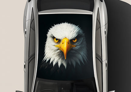 road-raptor-wrap-for-roof-top-for-cars