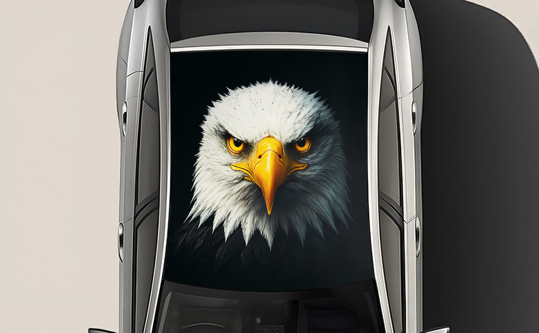 road-raptor-wrap-for-roof-top-for-cars