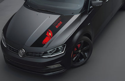 savage-ride-bonnet-wrap-for-cars