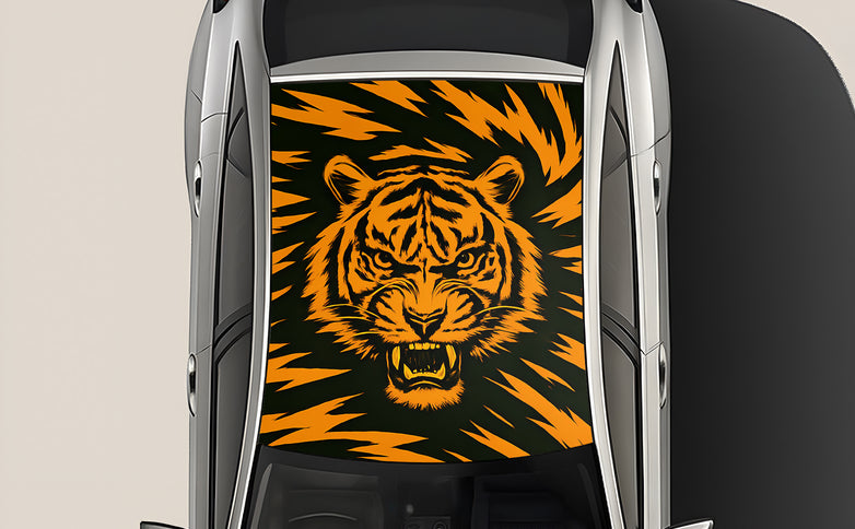 shadowfang-wrap-for-roof-top-for-cars